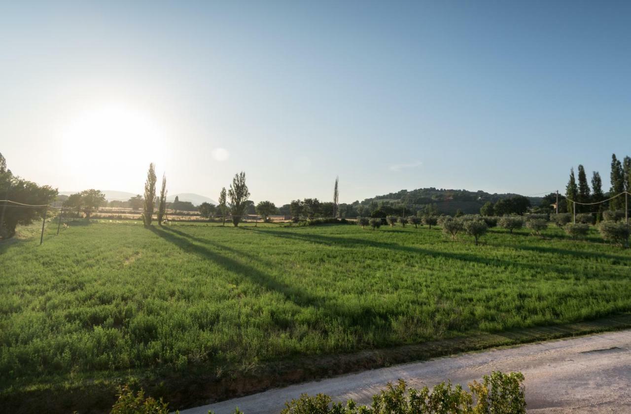 Bed & Breakfast Al Pian D'Assisi Exterior photo