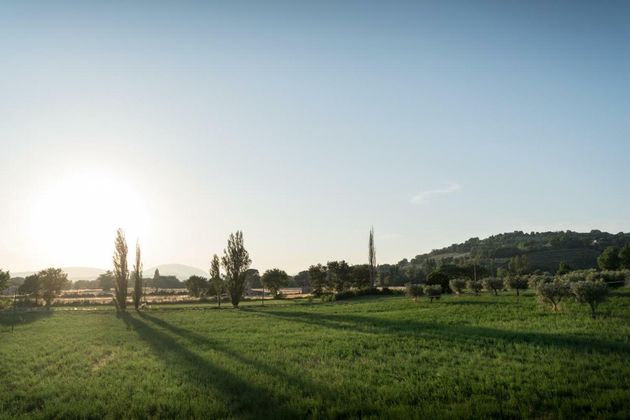 Bed & Breakfast Al Pian D'Assisi Exterior photo