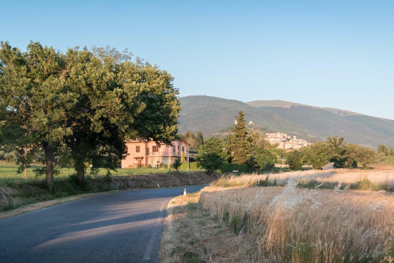 Bed & Breakfast Al Pian D'Assisi Exterior photo