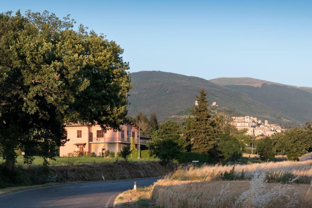 Bed & Breakfast Al Pian D'Assisi Exterior photo